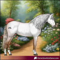 Horse Color:Gray Chestnut 