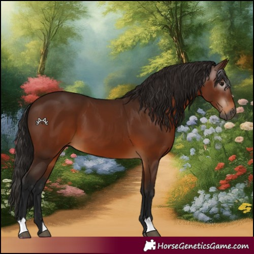 Horse Color:Gray Bay 