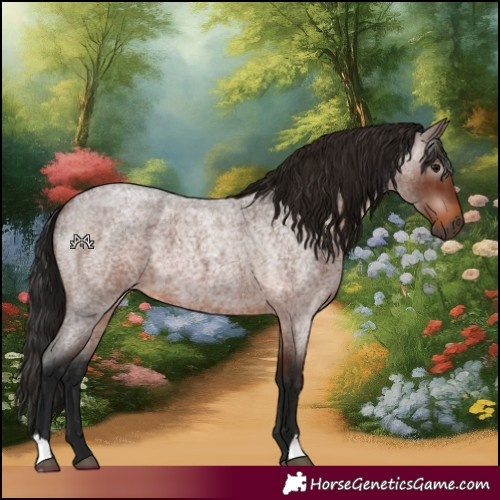 Horse Color:Gray Bay Roan 