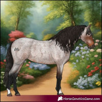 Horse Color:Gray Bay Roan 