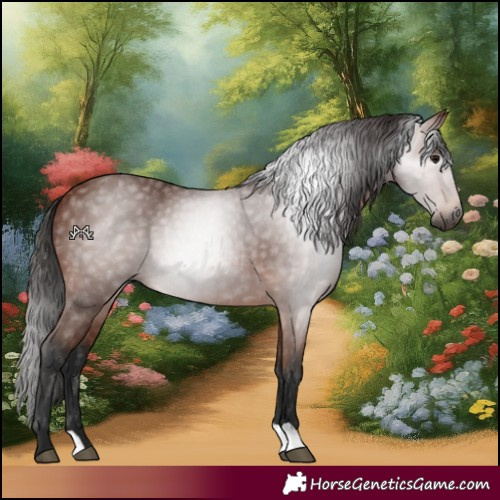 Horse Color:Gray Bay 