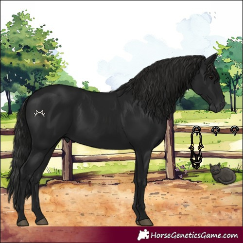 Horse Color:Gray Black 