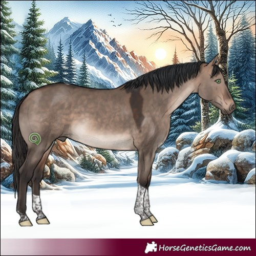 Horse Color:Bay Dun Mushroom Tobiano 