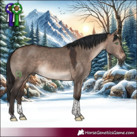 Horse Color:Bay Dun Mushroom Tobiano 