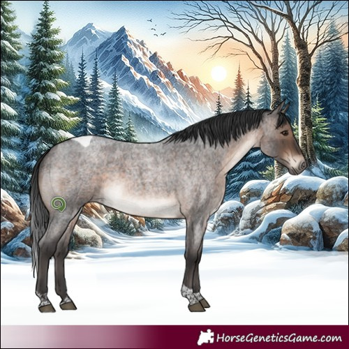 Horse Color:Brown Roan Tobiano 
