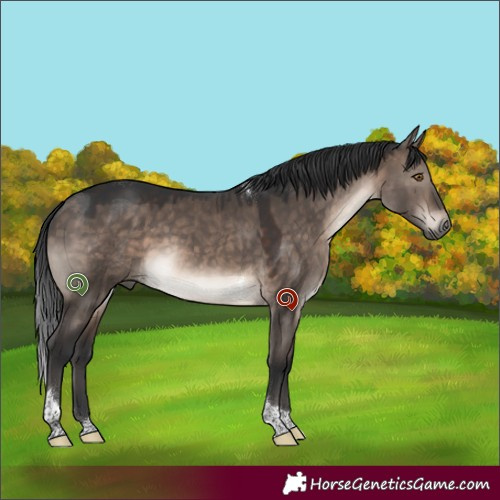Horse Color:Brown Dun Mushroom Tobiano