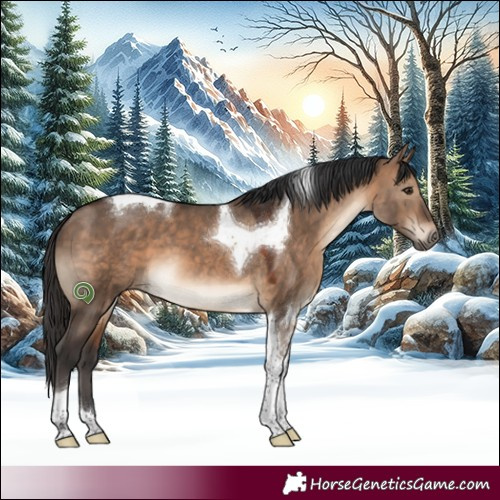 Horse Color:Brown Dun Tobiano 
