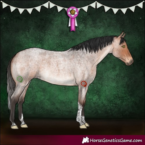 Horse Color:Bay Roan Tobiano