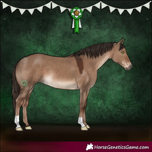 Horse Color:Liver Red Dun 