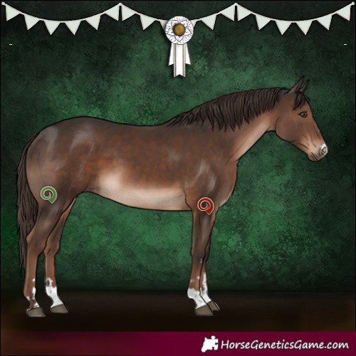 Horse Color:Liver Chestnut 