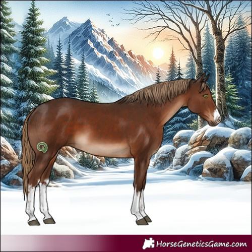 Horse Color:White Spotted Liver Chestnut