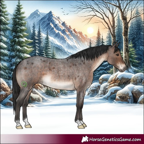 Horse Color:Brown Roan