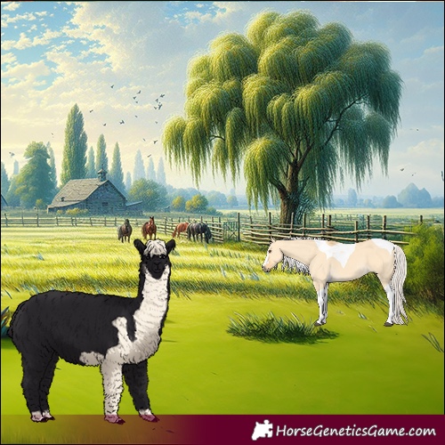 Horse Color:Silver Buckskin Dun Tobiano 