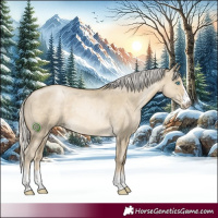 Horse Color:Silver Smoky Grullo Pearl Rabicano