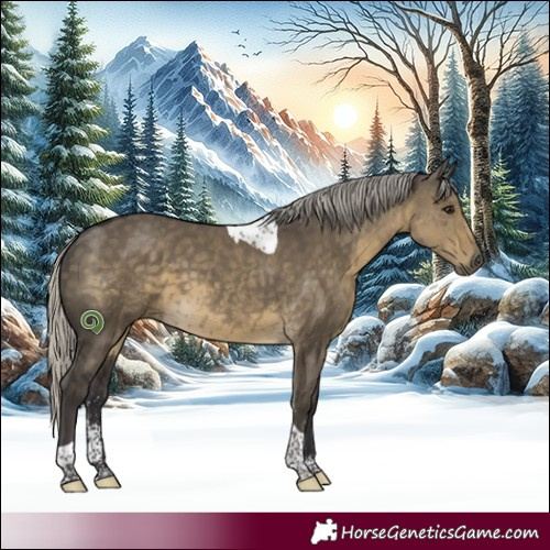 Horse Color:Silver Smoky Grullo Mushroom Sabino Tobiano