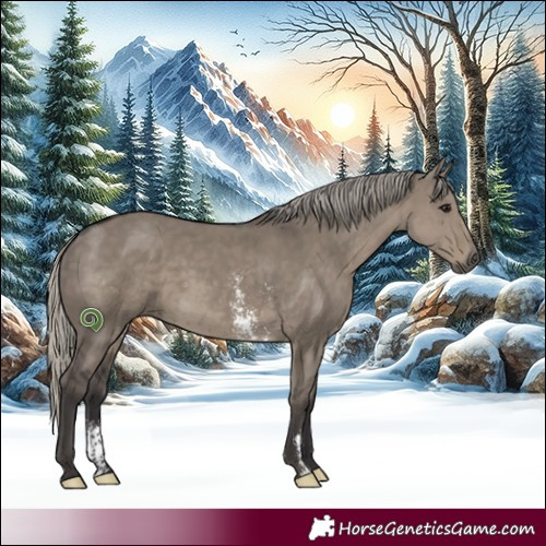 Horse Color:Silver Smoky Grullo Sabino Rabicano 