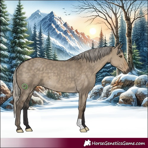 Horse Color:Silver Smoky Grullo 