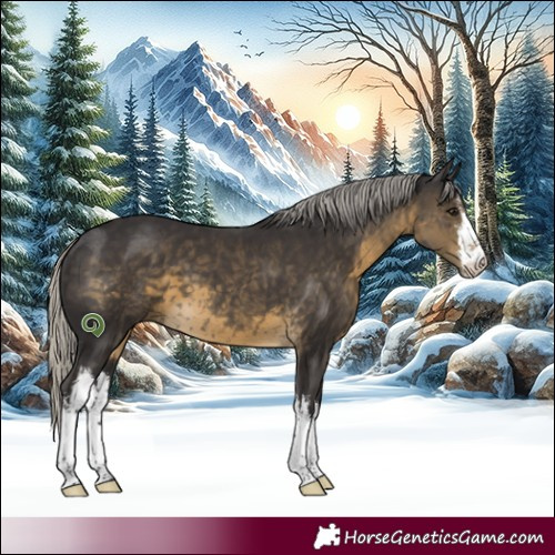 Horse Color:White Spotted Silver Smoky Black