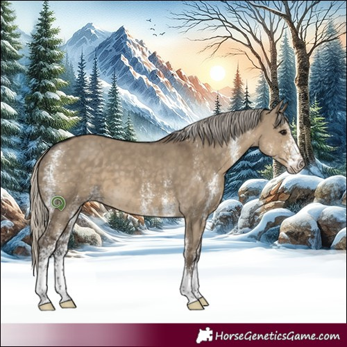 Horse Color:White Spotted Silver Smoky Grullo 