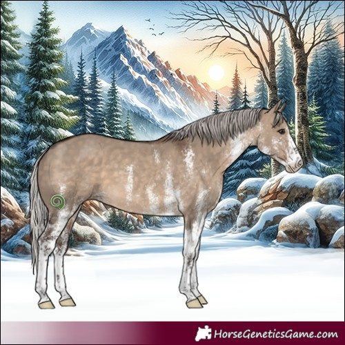 Horse Color:White Spotted Silver Brown Dun