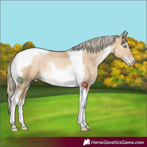 Horse Color:Chocolate Palomino Pearl Dun Tobiano