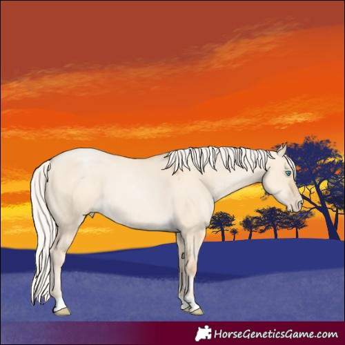 Horse Color:Silver Buckskin Pearl Dun 
