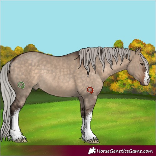 Horse Color:White Spotted Silver Brown Dun Rabicano 