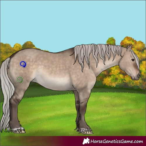 Horse Color:Silver Brown Dun Rabicano 