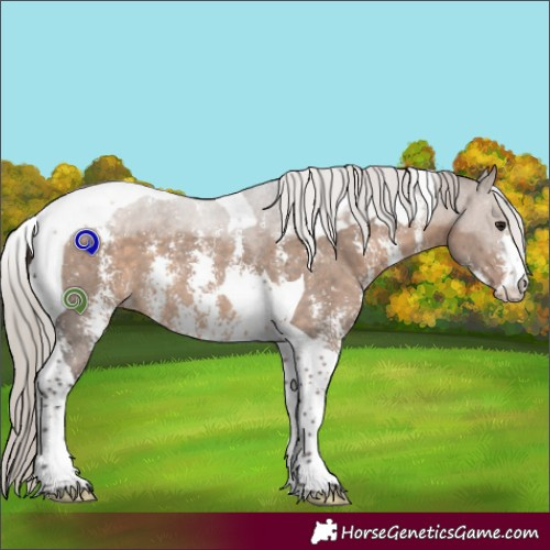 Horse Color:Silver Brown Dun Sabino Tobiano