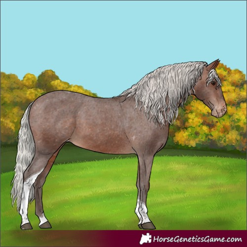 Horse Color:Silver Brown Tobiano Varnish