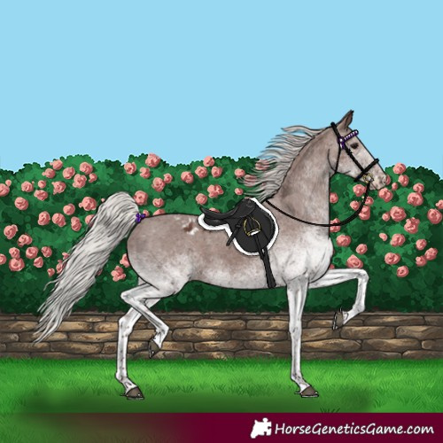 Horse Color:White Spotted Silver Black Tobiano Varnish Rabicano