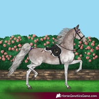 Horse Color:White Spotted Silver Black Tobiano Varnish Rabicano 