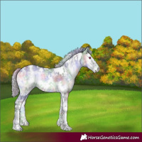 Horse Color:Nacre White Spotted Silver Blue Onyx Chinchilla Ice 