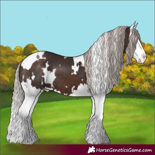 Horse Color:White Spotted Silver Brown Splash 