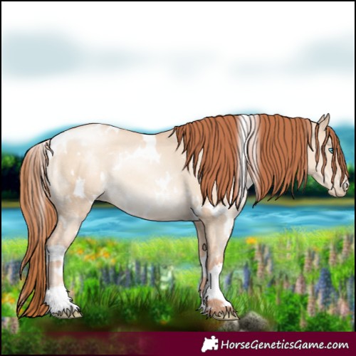 Horse Color:White Spotted Sable Champagne Pearl Dun Rabicano 