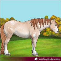 Horse Color:White Spotted Sable Champagne Pearl Rabicano