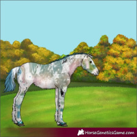 Horse Color:ERROR: UNKNOWN ANOMALY