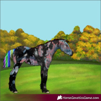 Horse Color:ERROR: UNKNOWN ANOMALY