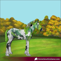 Horse Color:ERROR: UNKNOWN ANOMALY