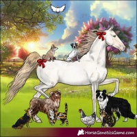 Horse Color:Buckskin Roan Pearl and Buckskin Roan Pearl