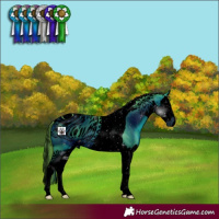 Horse Color:ERROR: UNKNOWN ANOMALY