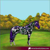 Horse Color:ERROR: UNKNOWN ANOMALY