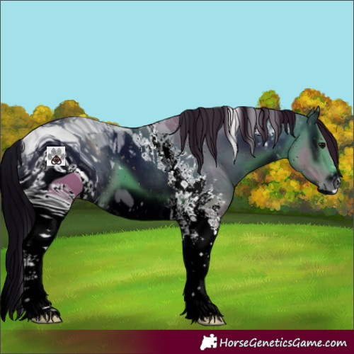 Horse Color:ERROR: UNKNOWN ANOMALY