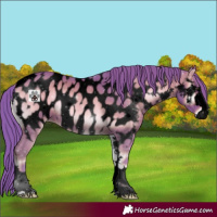 Horse Color:Void Watercolor Red Onyx Near Leopard 