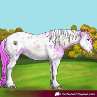 Horse Color:Watercolor Red Onyx Splash Tobiano Blanket 