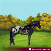 Horse Color:ERROR: UNKNOWN ANOMALY