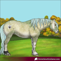 Horse Color:Void Painted Watercolor Silver Blue Onyx Ice 
