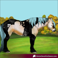 Horse Color:Void Watercolor Bay Onyx Tobiano 