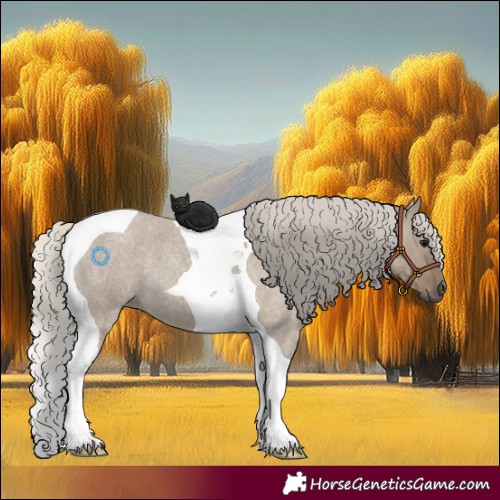 Horse Color:Silver Smoky Grullo Roan Tobiano 