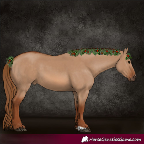 Horse Color:Red Dun 